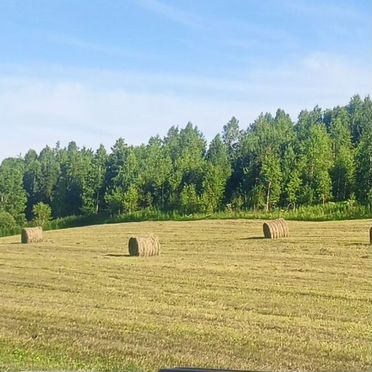 Продам сено в рулонах Луговое и листовое