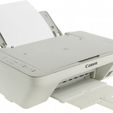 Многофункциональное устройство Canon pixma MG2440