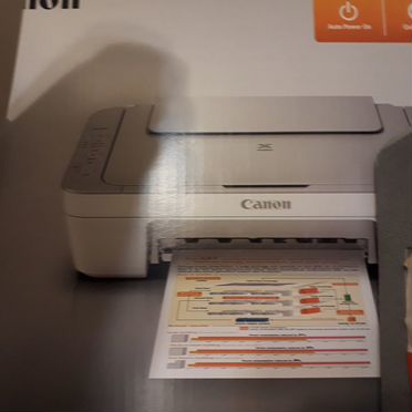 Многофункциональное устройство Canon pixma MG2440
