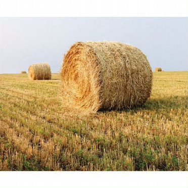 Солома пшеничная, овсяная в рулонах