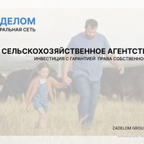 Сельскохозяйственное агентство в городе, Пхаджу