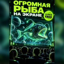 Готовый бизнес: окупаемость за 2 месяца, Сумы