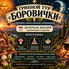 Грибной тур для новичков из Краснодара
