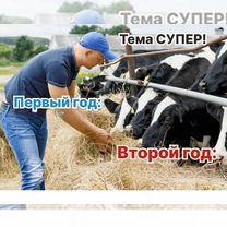 Животноводческое агентство в городе, Пхаджу