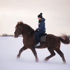 Занятия верховой ездой