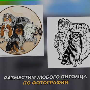 Указатель на дом по фото животных